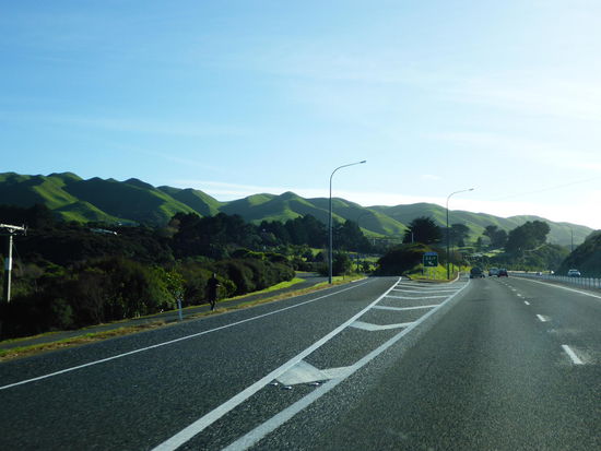 auf Neuseelands Straßen gibt es immer etwas zu sehen...und wenn es nur Hügel sind 