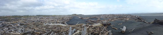 Treibholz am Turakina Beach