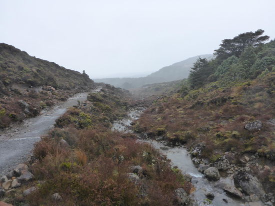 das Wetter war wirklich nicht so super 