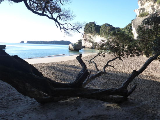 Cathedral Cove