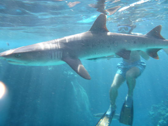 ...zwischen uns  ...