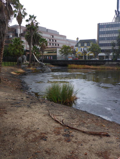blubbernde Teergruben von La Brea Tar Pits