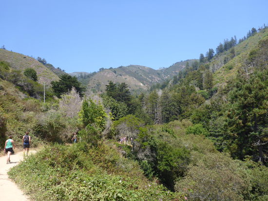 Julia Pfeiffer Nationalpark