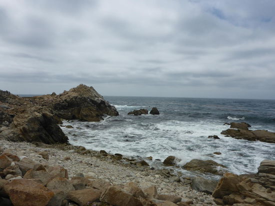 Monterey - 17Mile Drive