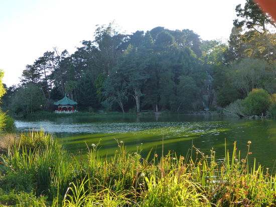 Golden Gate Park