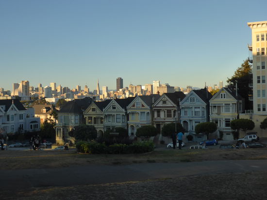 Painted Ladies