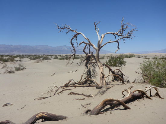 Mesquite Flat Sand Dunes