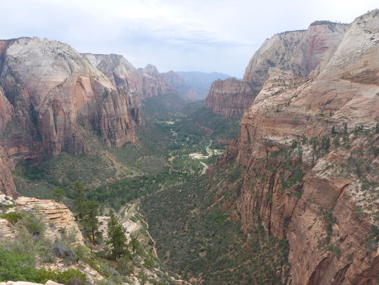 Tal des Zion Nationalparks