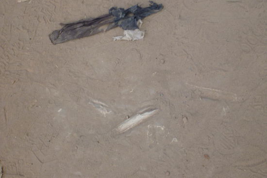 Noch immer befinden sich die menschlichen Überreste der Exekutierten in den Massengräbern, die durch Umwelteinflüsse überall auf dem Gelände an die Oberfläche dringen