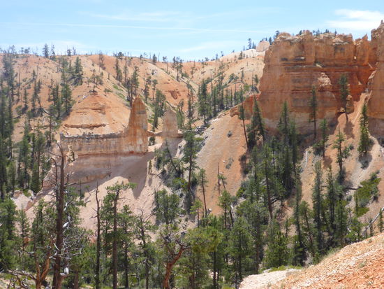 Tower Bridge aus der Ferne 