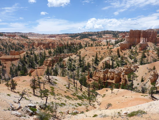 Impressionen die Erste