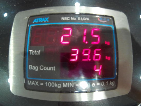 Der Babyelefant wächst heran...