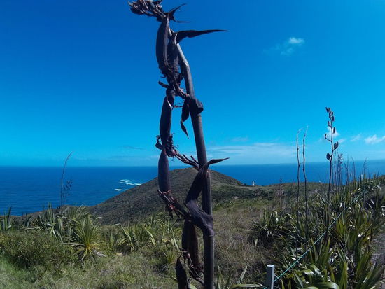 Da hinten ganz klein ist der Leuchtturm