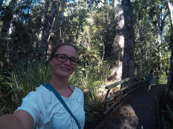 Keine Kiwi hier, aber der Wald ist schön genug