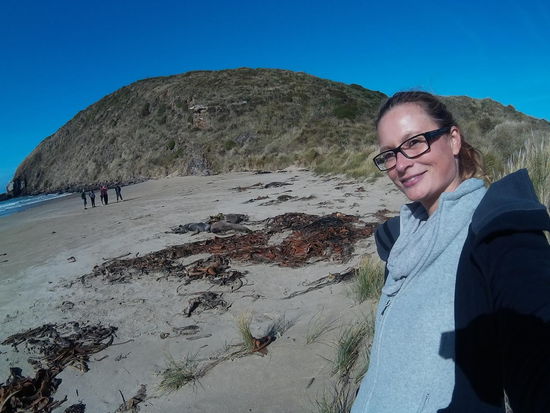 Da sind Seelöwen.....