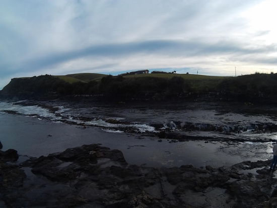 Da drüben hockt ein Pinguin