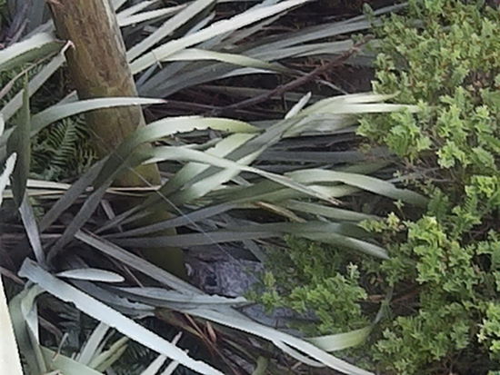 Da unten am Pfosten auch