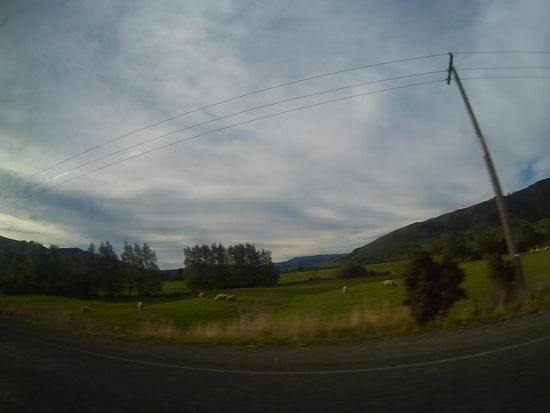 Vielleicht liegt's an den ganzen Schafen, dass wir im Bus immer so schläfrig sind?