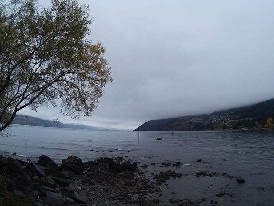 Stromleitung für die Nymphen