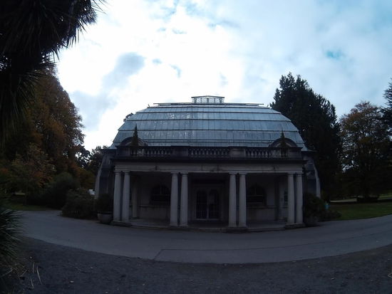 Das alte Gewächshaus