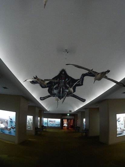 Wer wollte nicht schon immer mal das Innere einer Möwe sehen?