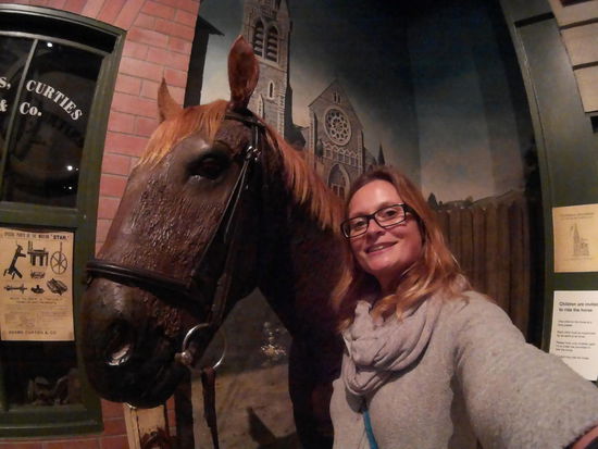 Leider durfte ich auch dieses Pferd nicht reiten, denn es ist nur für Kinder. Also verlasse ich Neuseeland, ohne auf einem Pferderücken gesessen zu haben.