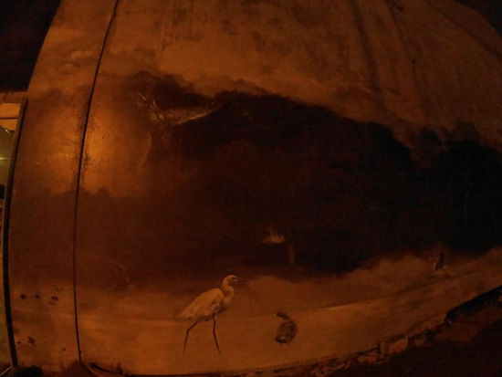 Graffito auf dem Weg zum Pak n Save