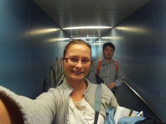 Ich bin wieder nicht die letzte im Flieger