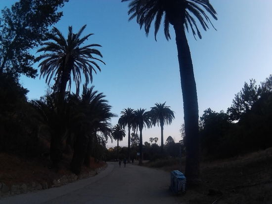 Enttäuschenden Park