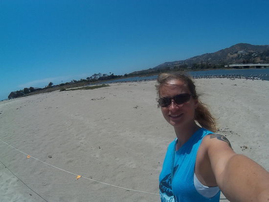 Näher durfte man nicht