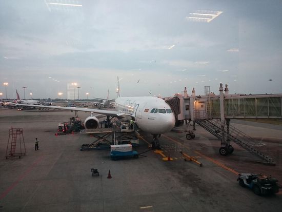 Wohin der Vogel auch fliegt, wir sind an Bord