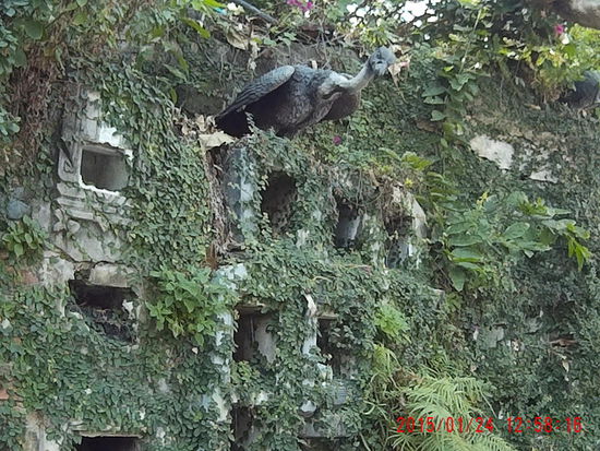 Er hat so einen verschmitzten Blick...