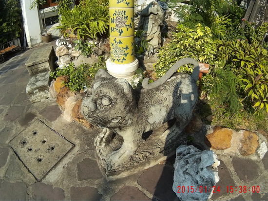 Die hatten es mir angetan