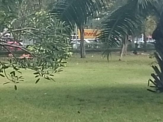 Und dann konnte ich noch das sichten  Da landen also die fehlgegangenen Pakete