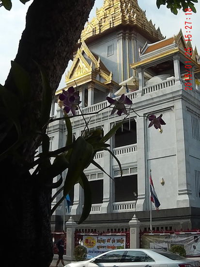 Impressionen am Wegesrand