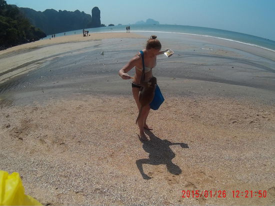 Wenn man Affen füttert