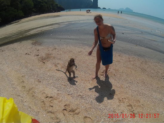 Wartet, bis ihr das Video seht ))