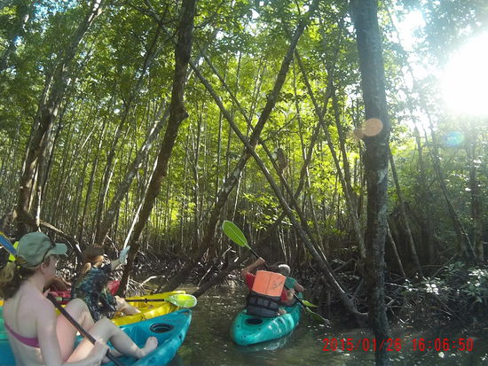 Ein sprungbereites Äffchen