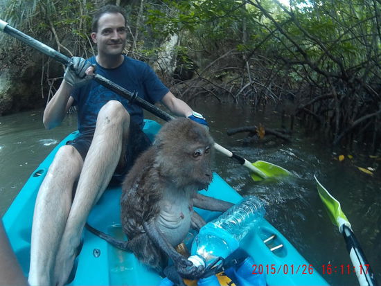 Nicht so wirklich kuschelig