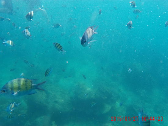 Und wie ich mich freue, dass ich die Cam mitgenommen habe...