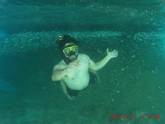 Das beste Foto von Fernando