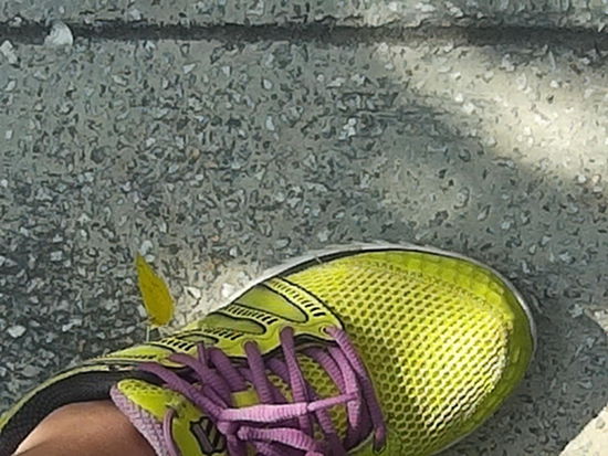 Der mochte meinen Schuh