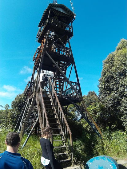 Nicht soooo vertrauenswürdig