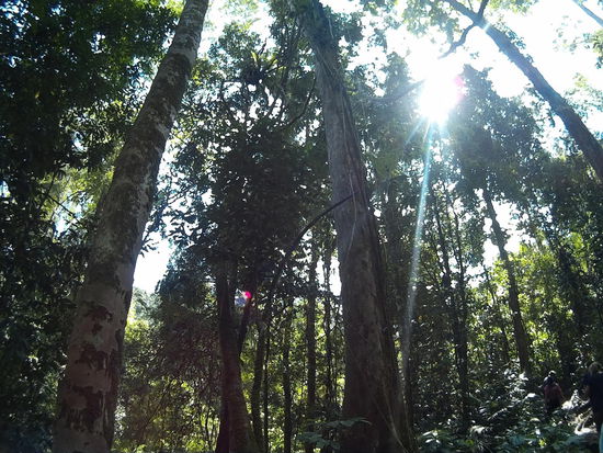 Im Schatten, was dann doch angenehm war