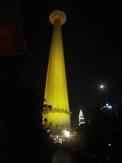 Sieht tatsächlich wie eine Ananas aus