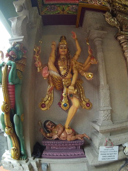 Neben der verblüffend ungleichen Anzahl der Arme auch sehr gelenkig...