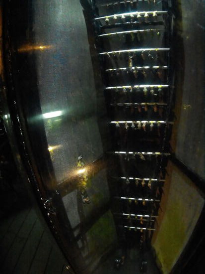 Die Einzigen wachen sind die, die schlüpfen...