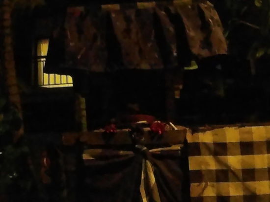 Die Ratte ist leider kaum zu erkennen,  aber sie hat einen sehr verschmitzten Gesichtsausdruck