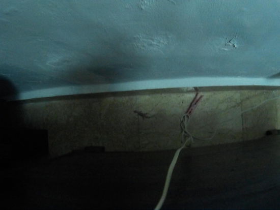 Lizzard in meinem Hotelzimmer... Ist sie nicht knuffig?