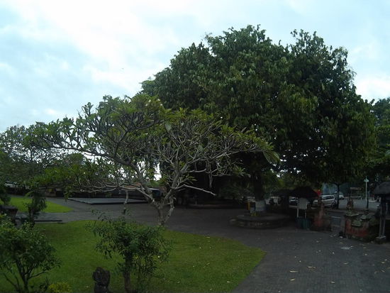 Der Banyanbaum, einer der größten,  die ich gesehen habe